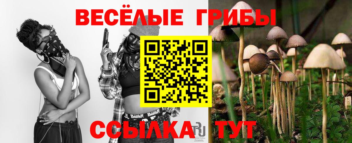 Галлюциногенные грибы прущие грибы  Вход с VPN  Карпинск 