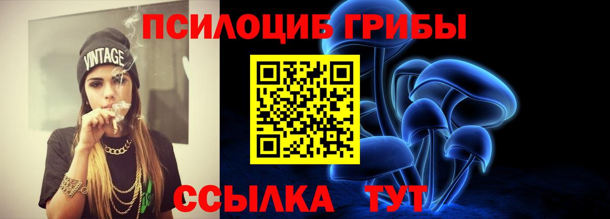 Псилоцибиновые грибы мицелий Карпинск