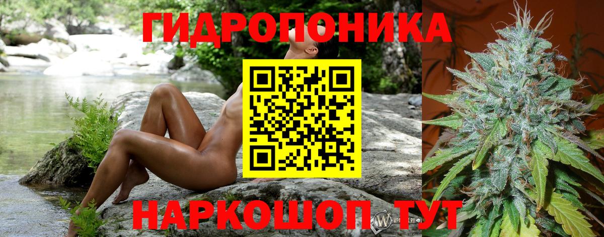 Бошки Шишки тримм  Вход с VPN  Шишки марихуана THC 21%  Карпинск  Марихуана Amnesia 